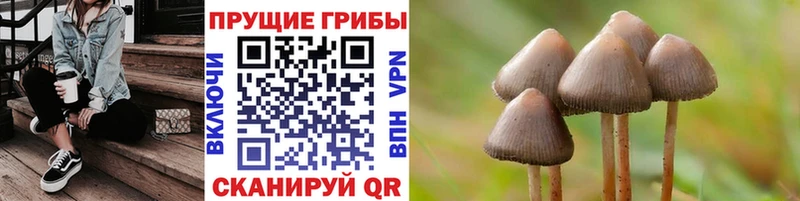 купить наркотики цена KRAKEN ссылки Псилоцибиновые грибы Magic Shrooms Гуково