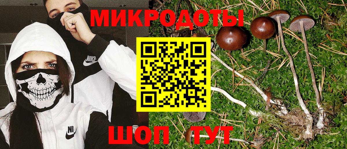 Псилоцибиновые грибы ЛСД Гуково